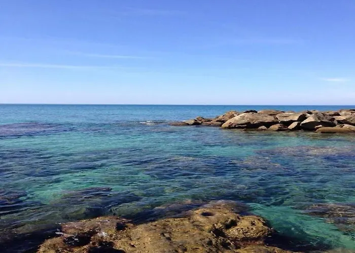 L'Albero Di Limoni Sul Mare Di Pizzo